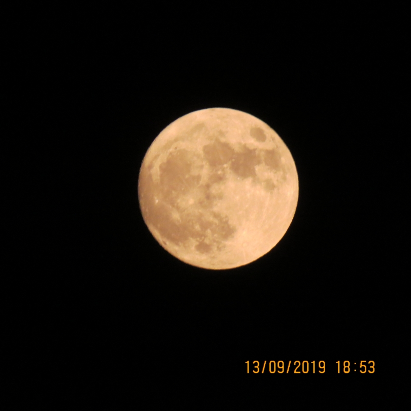 IMG_9179.JPG