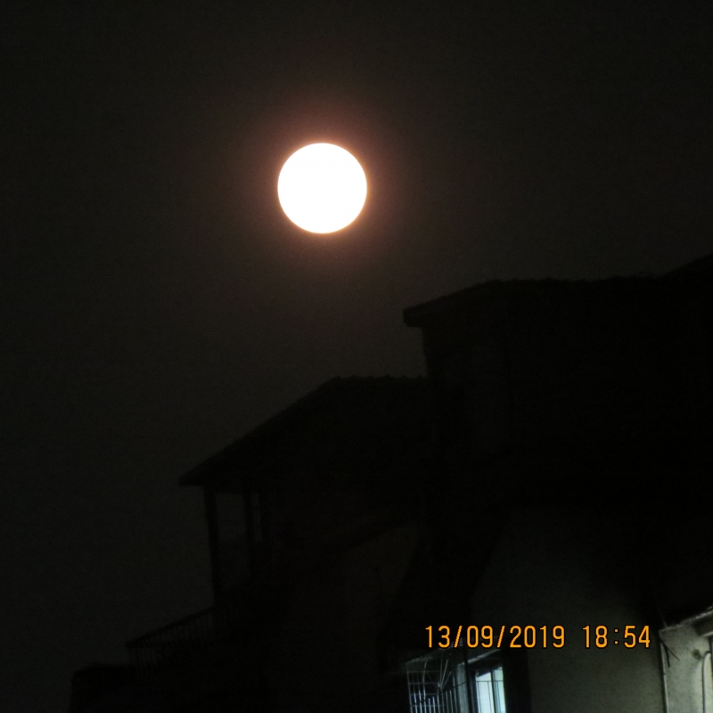 IMG_9187.JPG