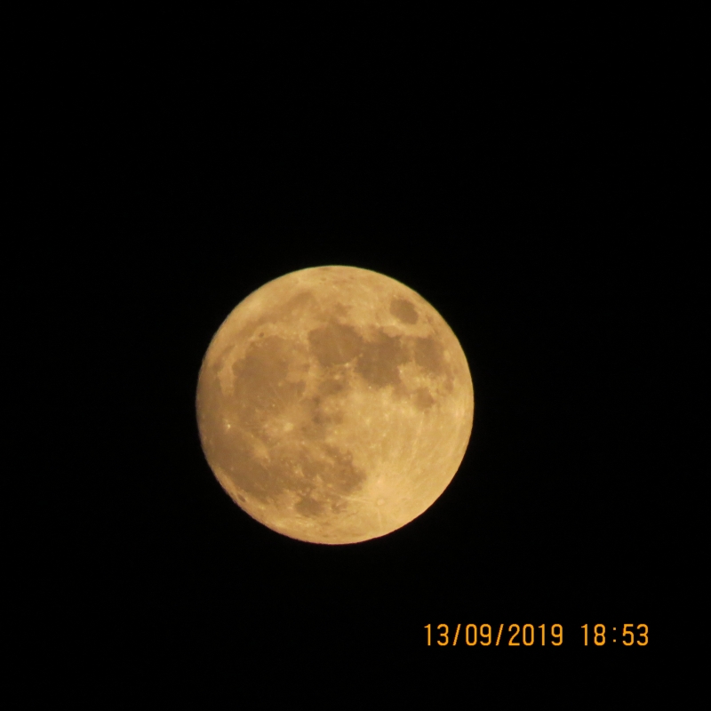 IMG_9180.JPG