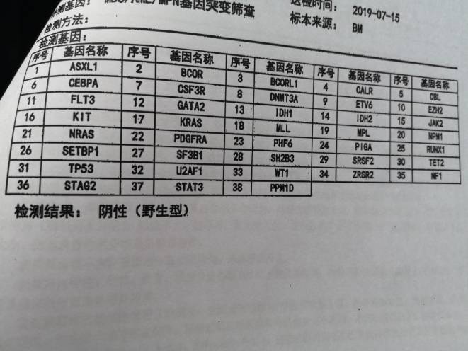 161918o1a6t5i6d6fy122y.jpg