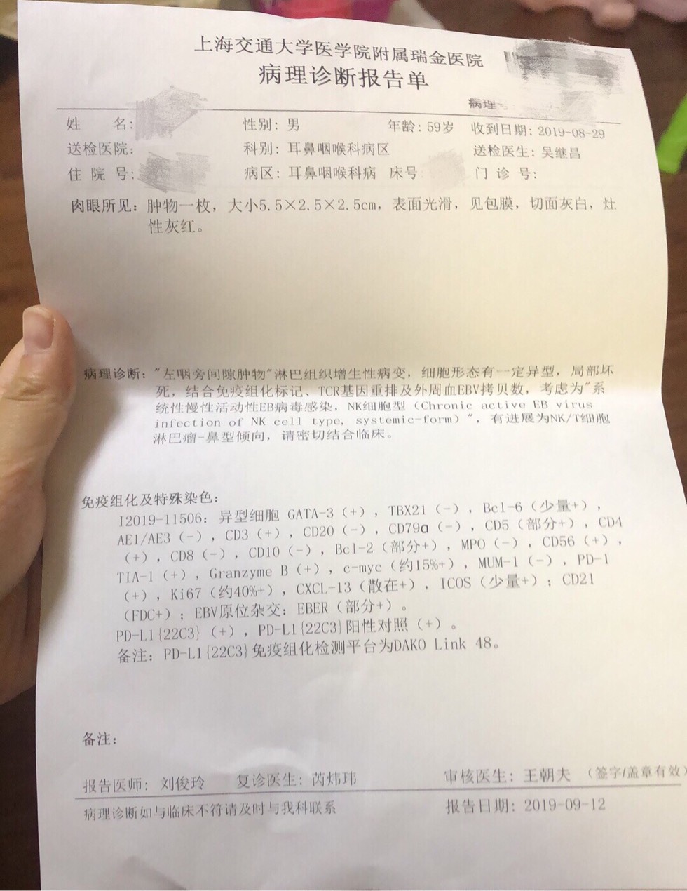 140353feldvwdpwzcjpvkv.jpg