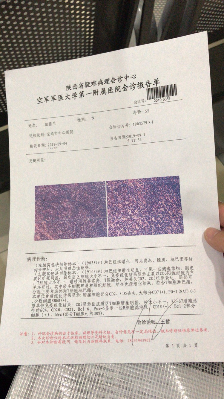 135054zmnpap032ex43nhp.jpg