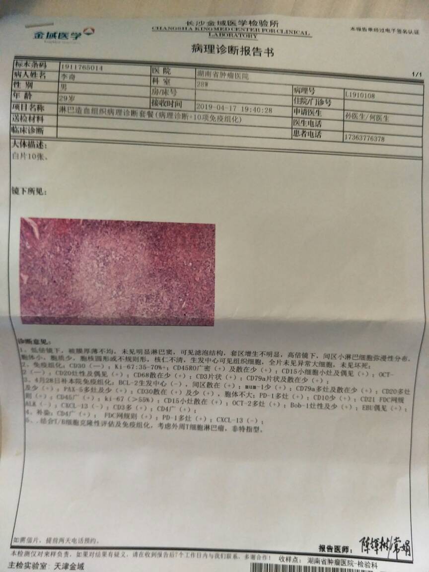 181111zz11v9vxv1haua8v.jpg