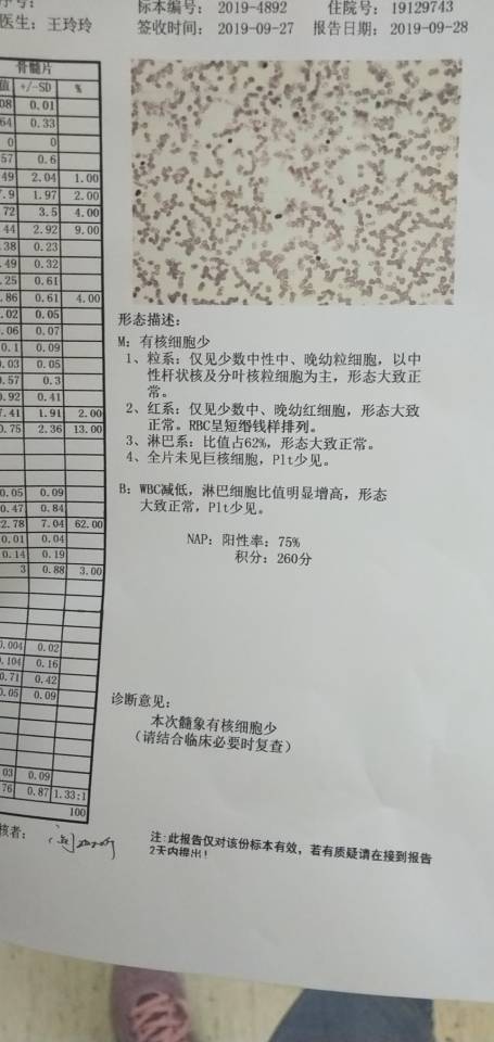 165612cp2e0w0uep8xg3zr.jpg