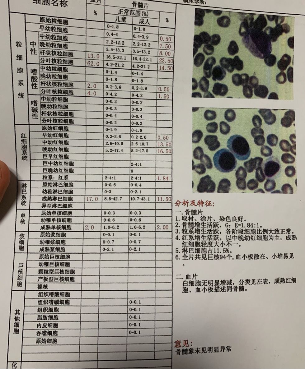 143706rb7nbcslby0nsgy1.jpg
