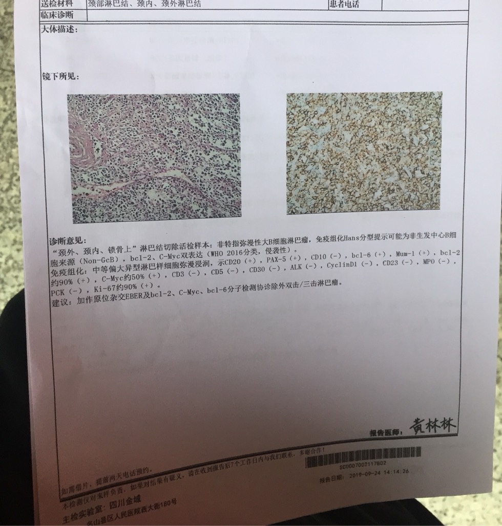 102259i55g565rctny655q.jpg