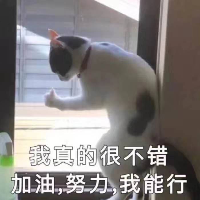 223300klutl1r1a782n8nl.jpg