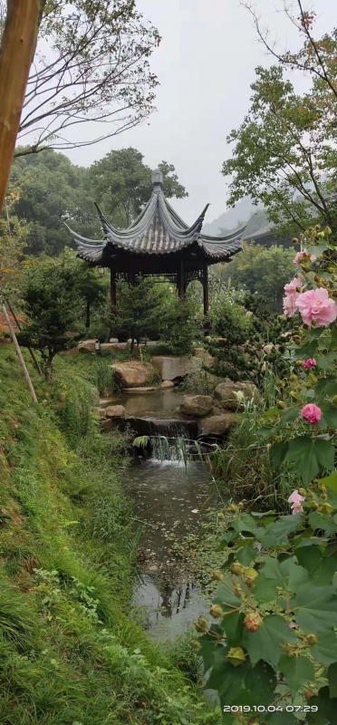 微信图片_20190624105004.jpg