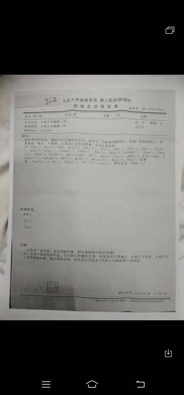 071137fakbo5gjobkc44pk.jpg
