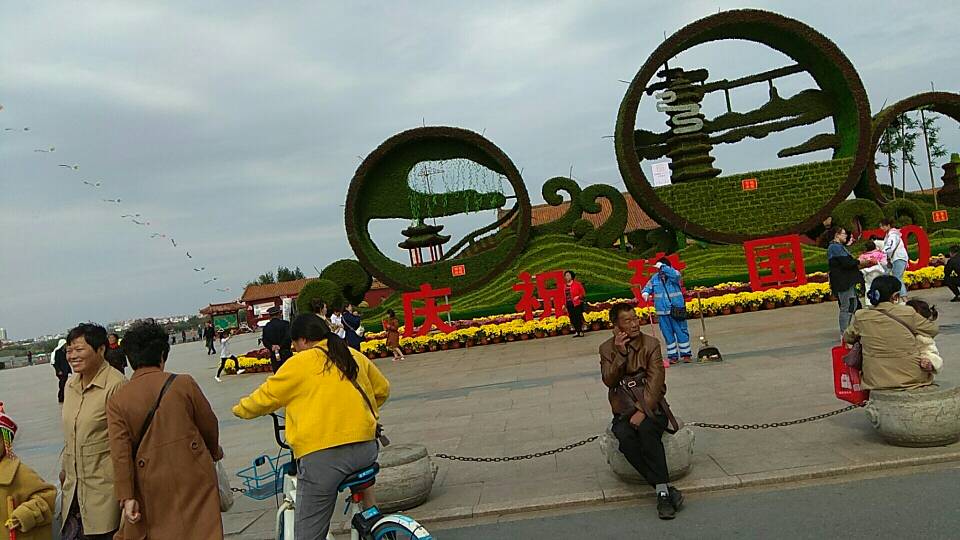 103043o2v1oob1pplt7343.jpg