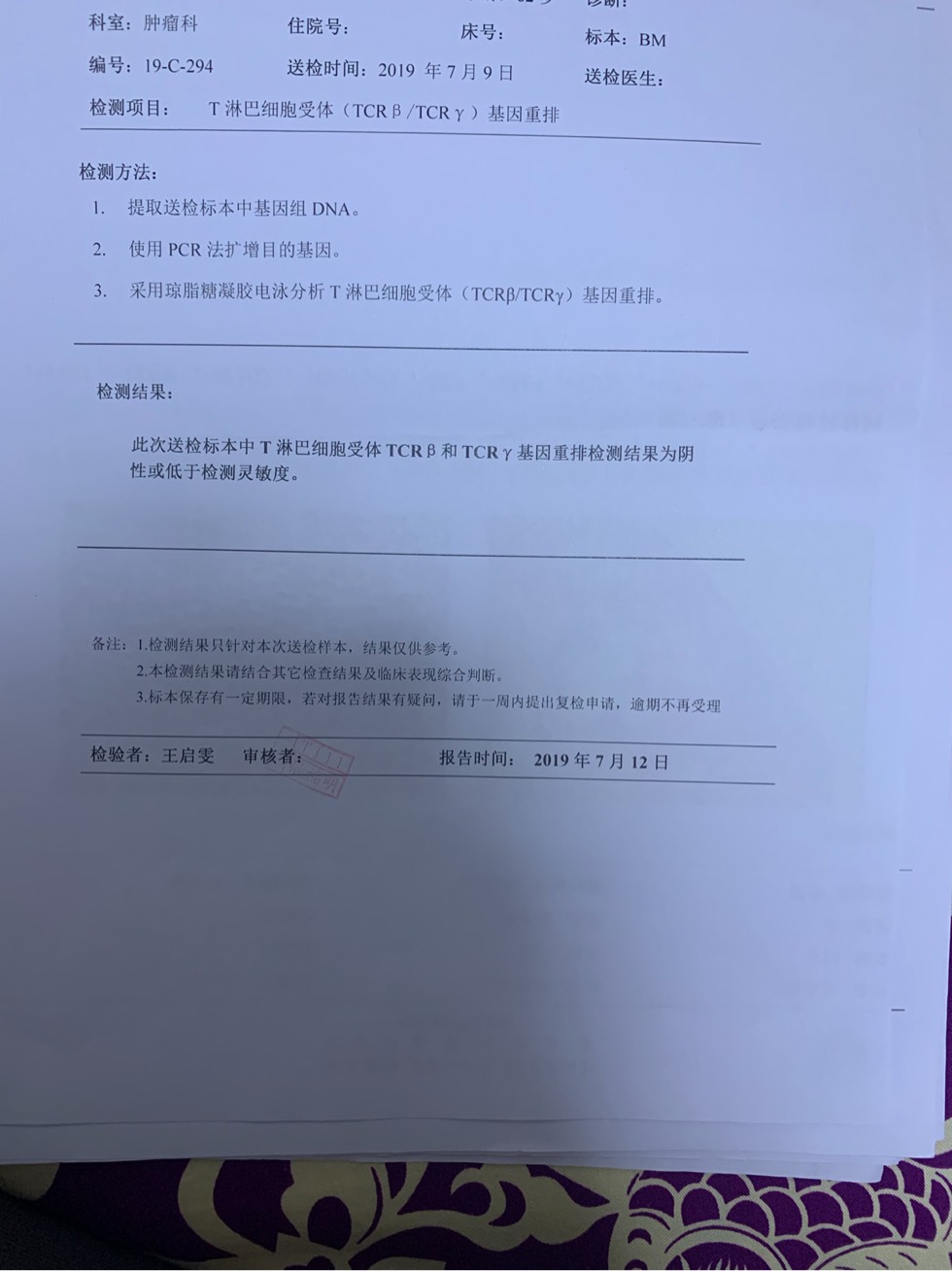 204524jinzorc216zte2l2.jpg