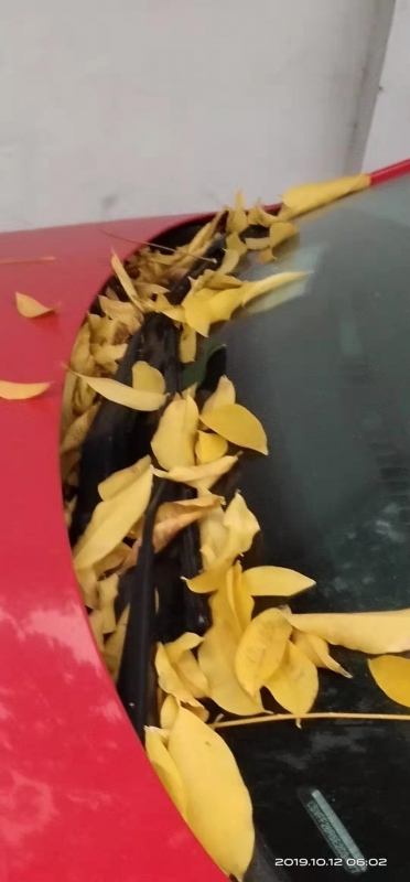 微信图片_20191012073715.jpg