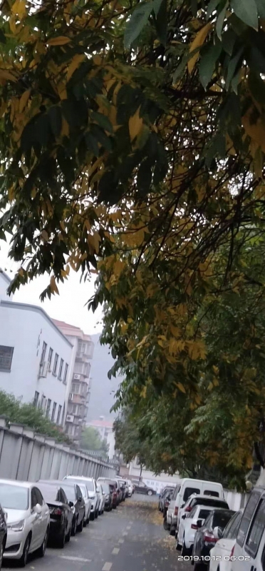 微信图片_20191012073722.jpg