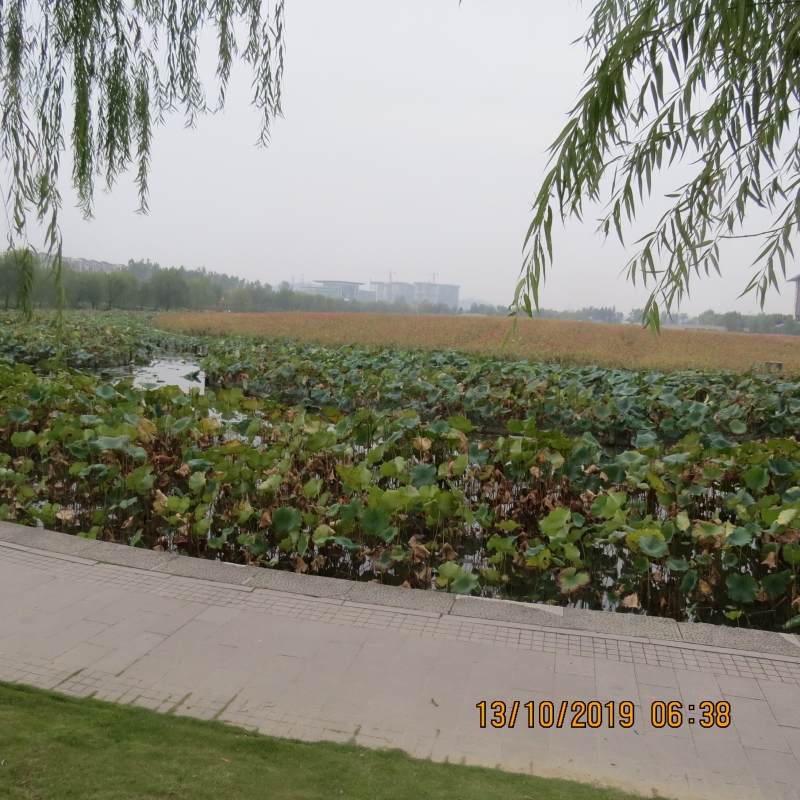 IMG_9189.JPG