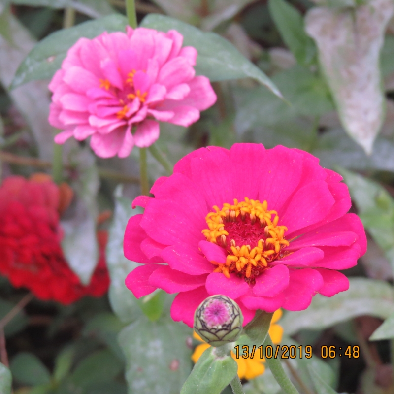 IMG_9215.JPG