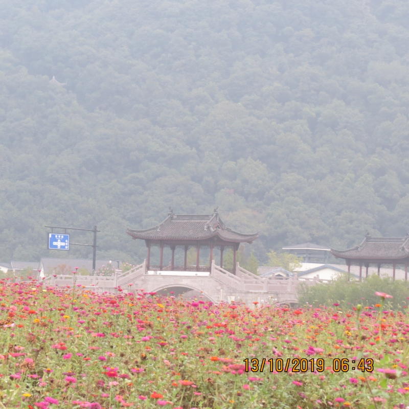 IMG_9194.JPG