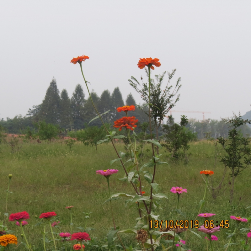 IMG_9204.JPG