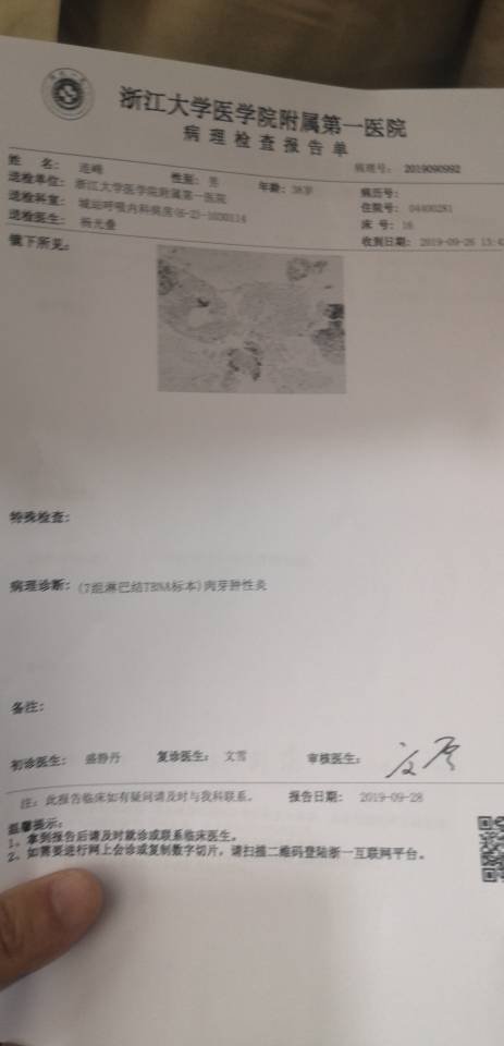 081627ypyah0093pkaqp03.jpg
