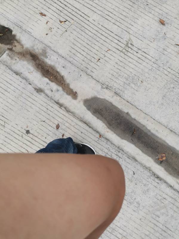 101205m2vzm5r9lnv9yir0.jpg
