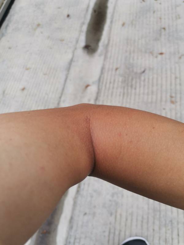 101205ncj9jgnjjnpannoj.jpg
