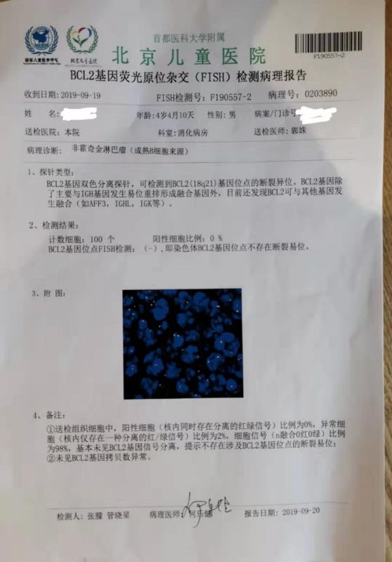 fish-bcl-2