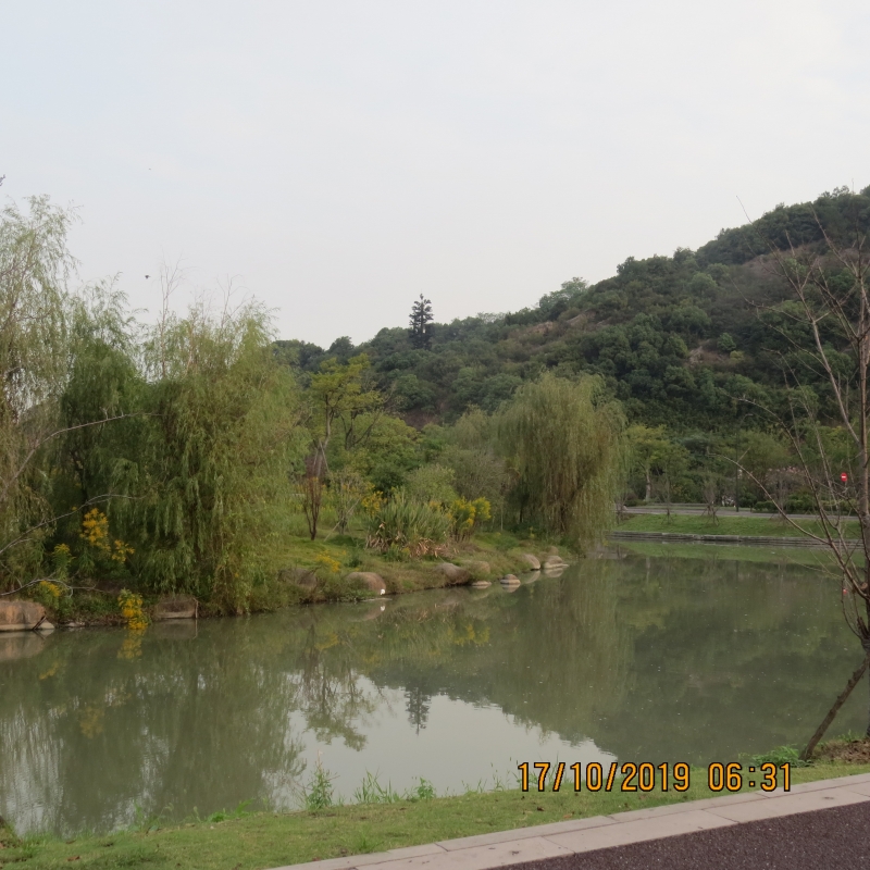 IMG_9265.JPG