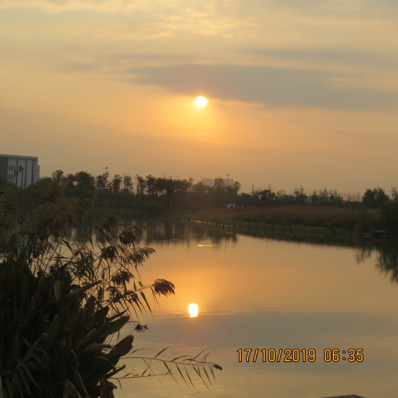 IMG_9267.JPG