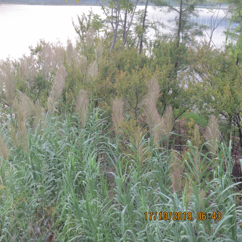 IMG_9279.JPG