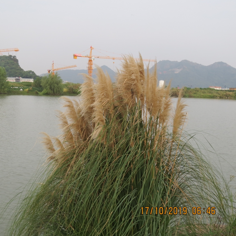 IMG_9287.JPG