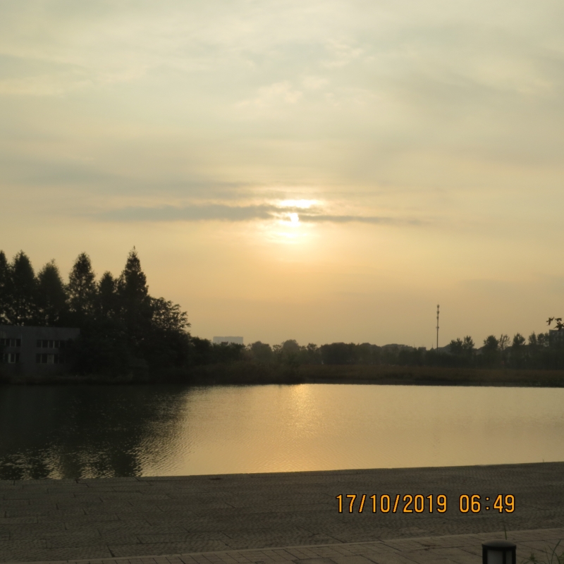 IMG_9288.JPG