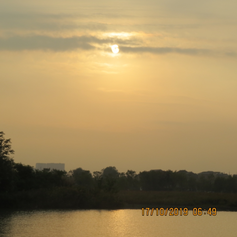 IMG_9289.JPG