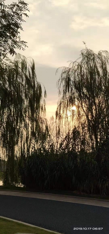 微信图片_20191017085844.jpg