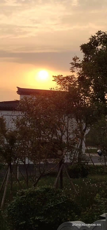 微信图片_20191017085604.jpg