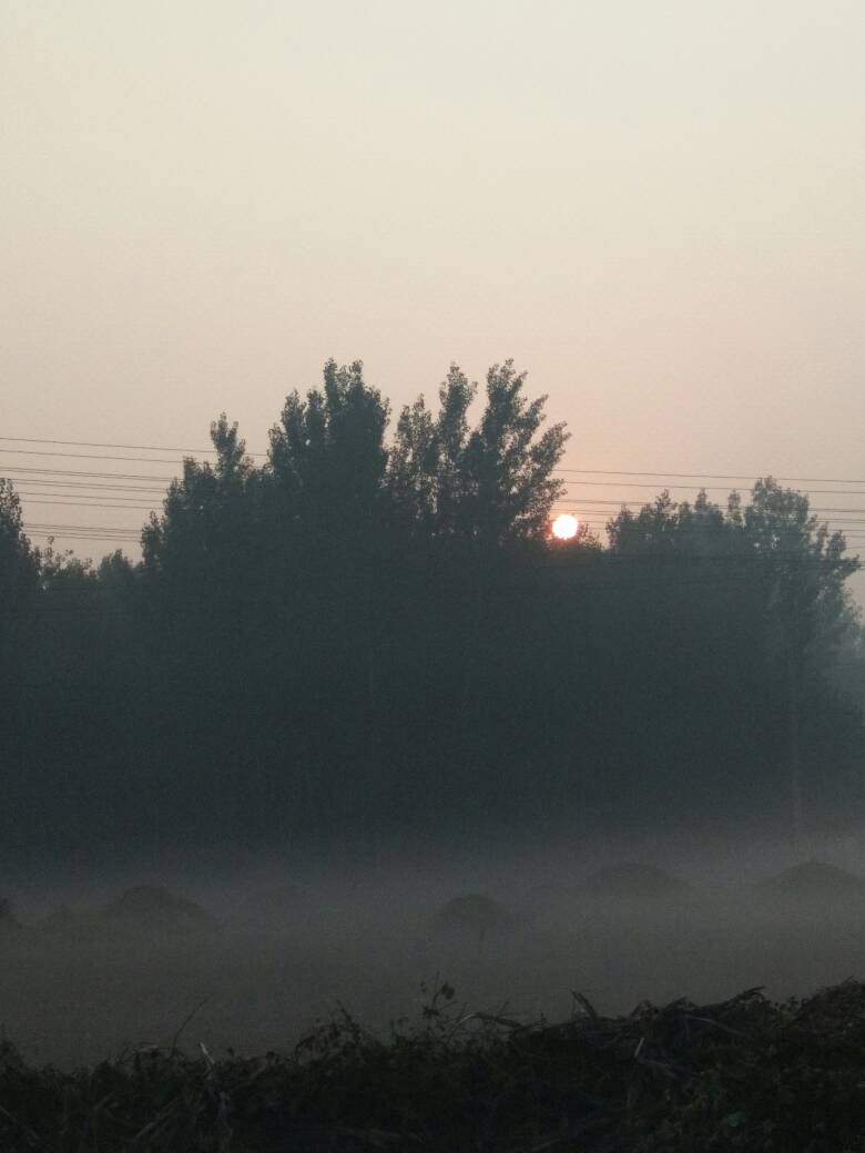 072322nrfc1cafa01lpuf1.jpg