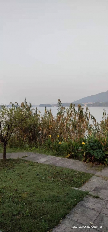 微信图片_20191019093008.jpg