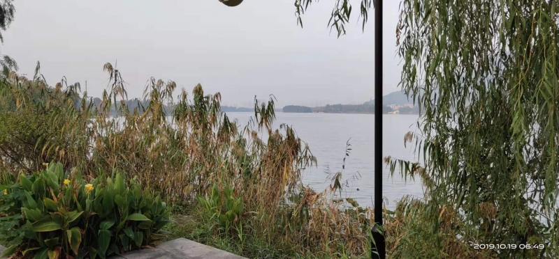 微信图片_20191019093027.jpg