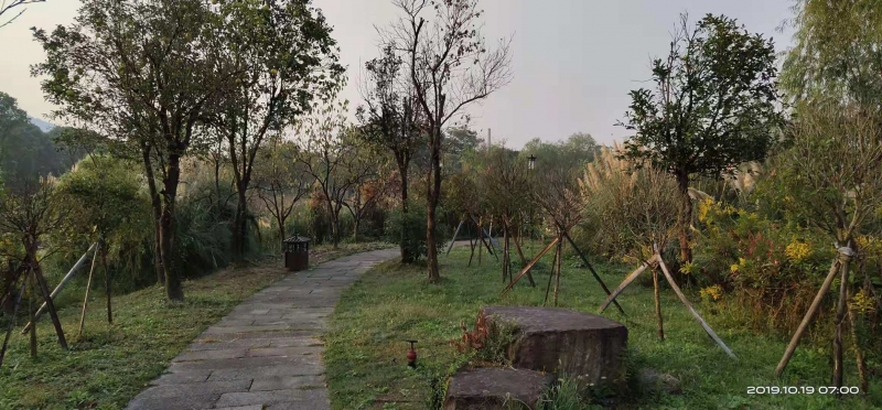 微信图片_20191019093119.jpg
