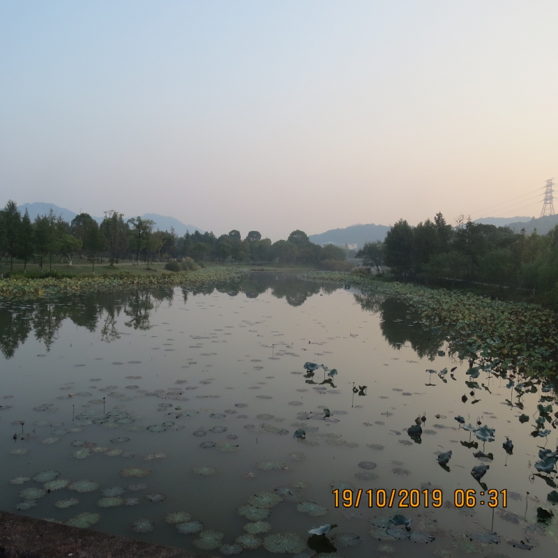 IMG_9305.JPG