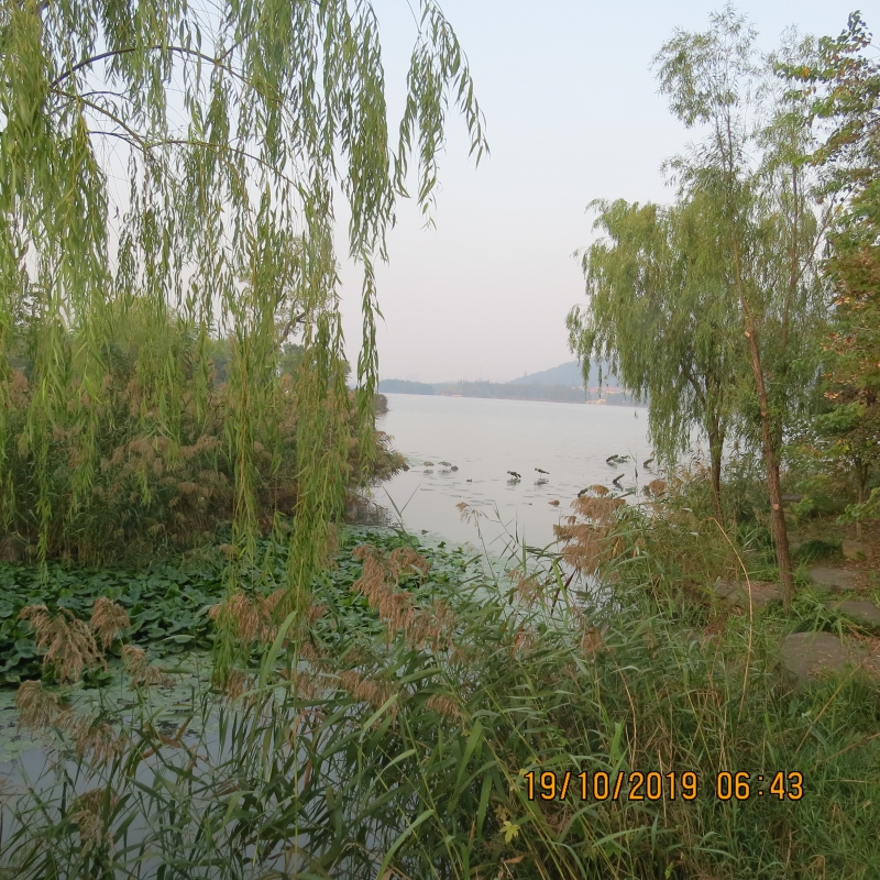 IMG_9325.JPG