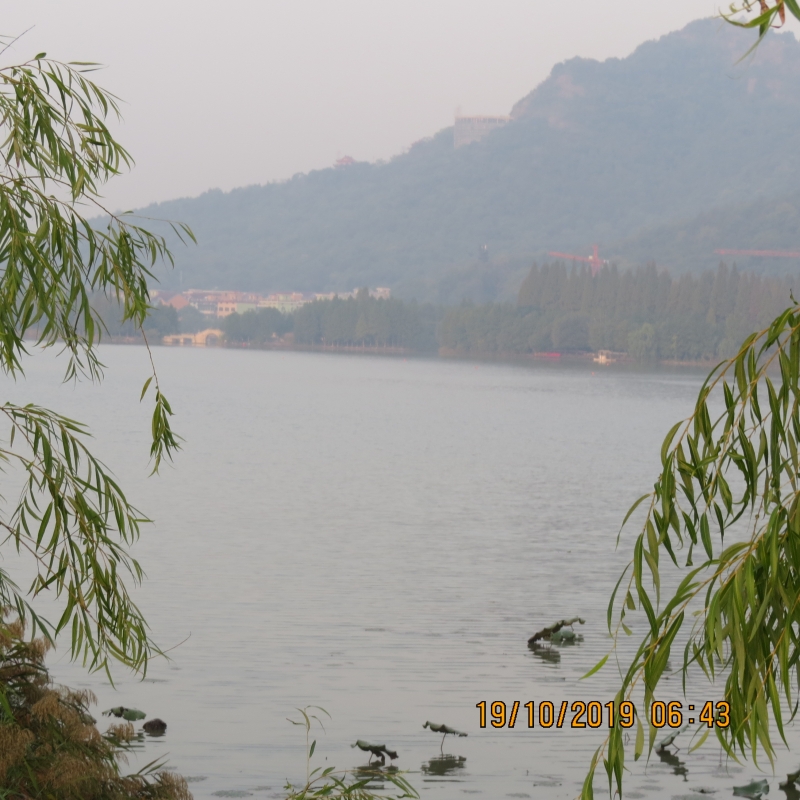 IMG_9327.JPG