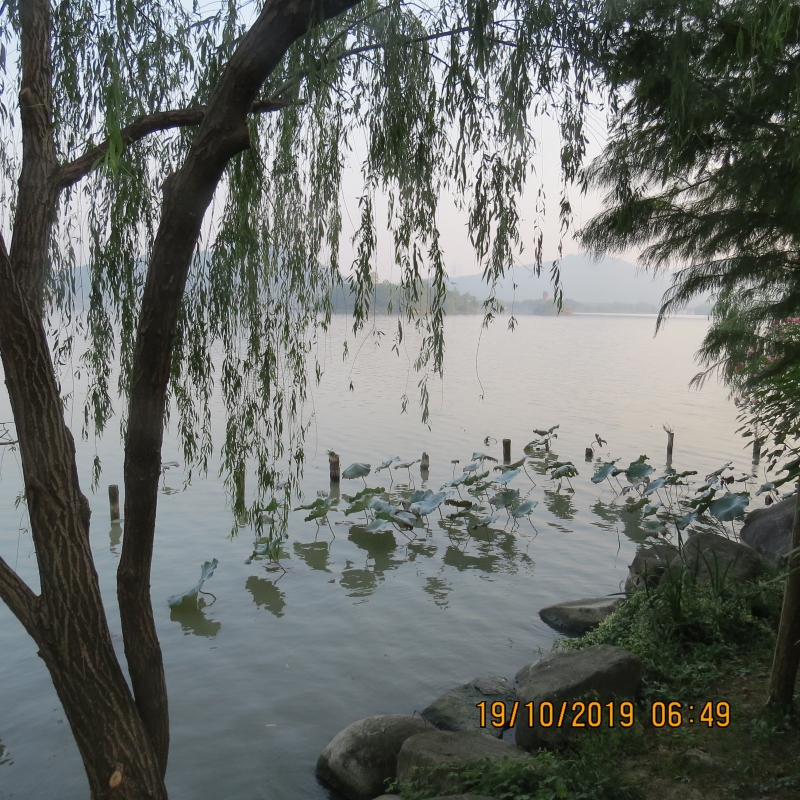 IMG_9333.JPG