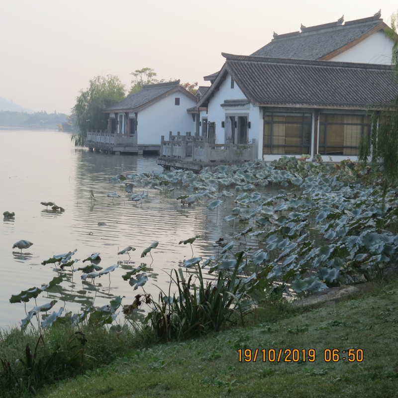 IMG_9335.JPG