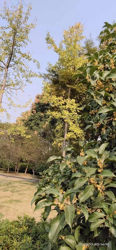 微信图片_20191007164911.jpg