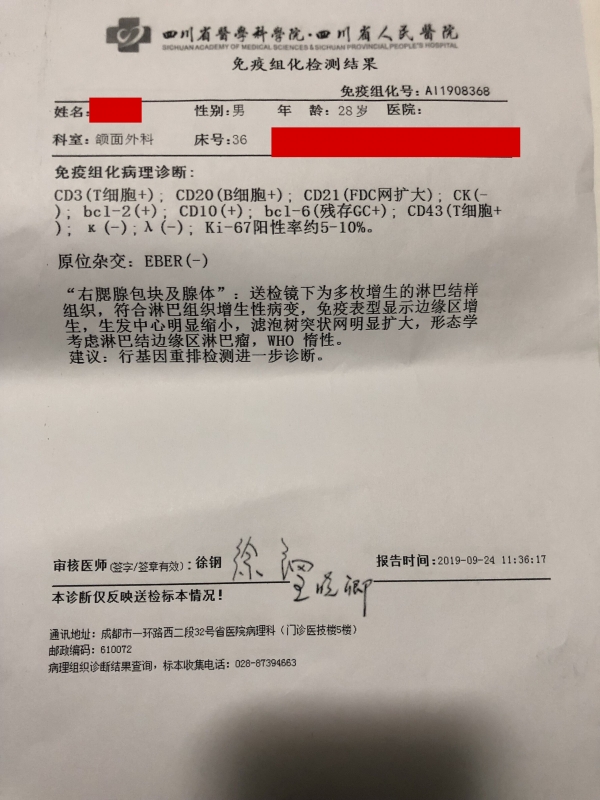 免疫组化检测结果