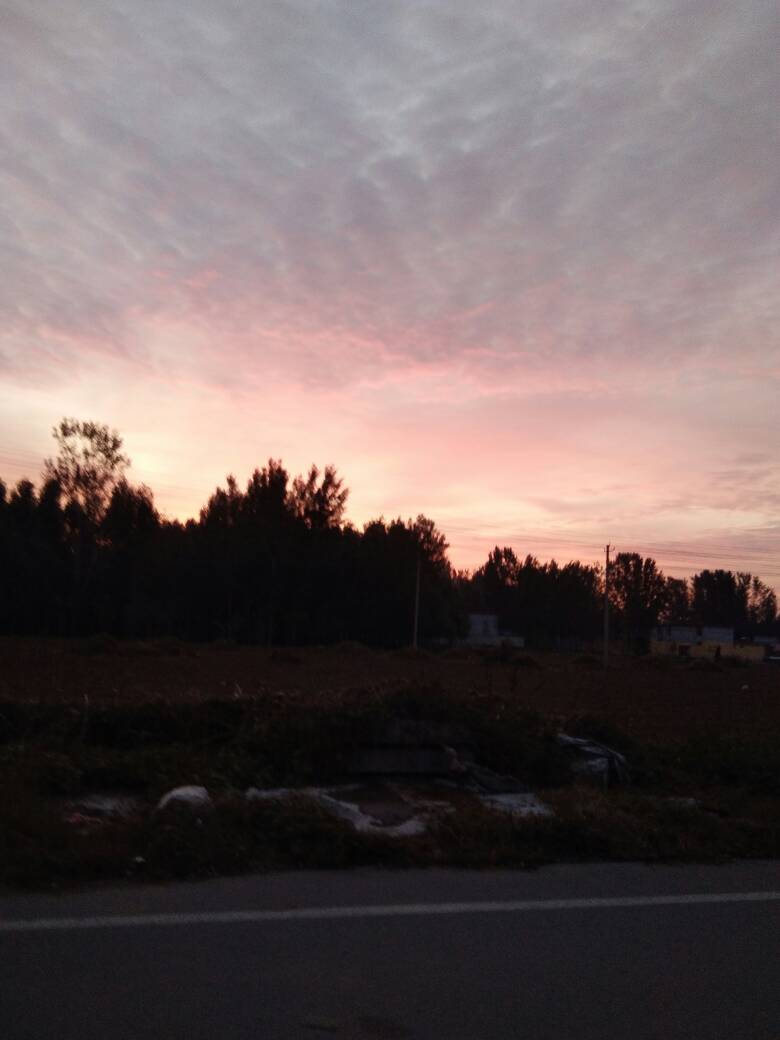 063735btg3zdts23396433.jpg