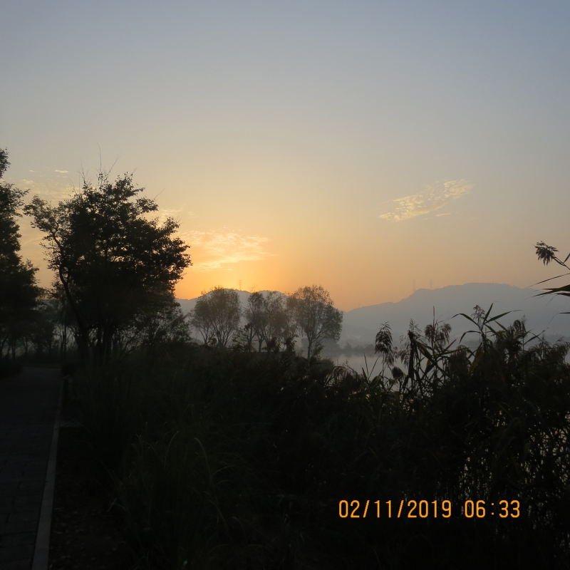 IMG_9445.JPG