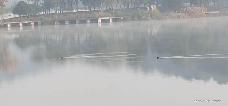 微信图片_20191102095318.jpg