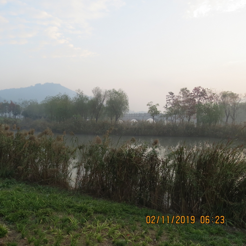 IMG_9428.JPG