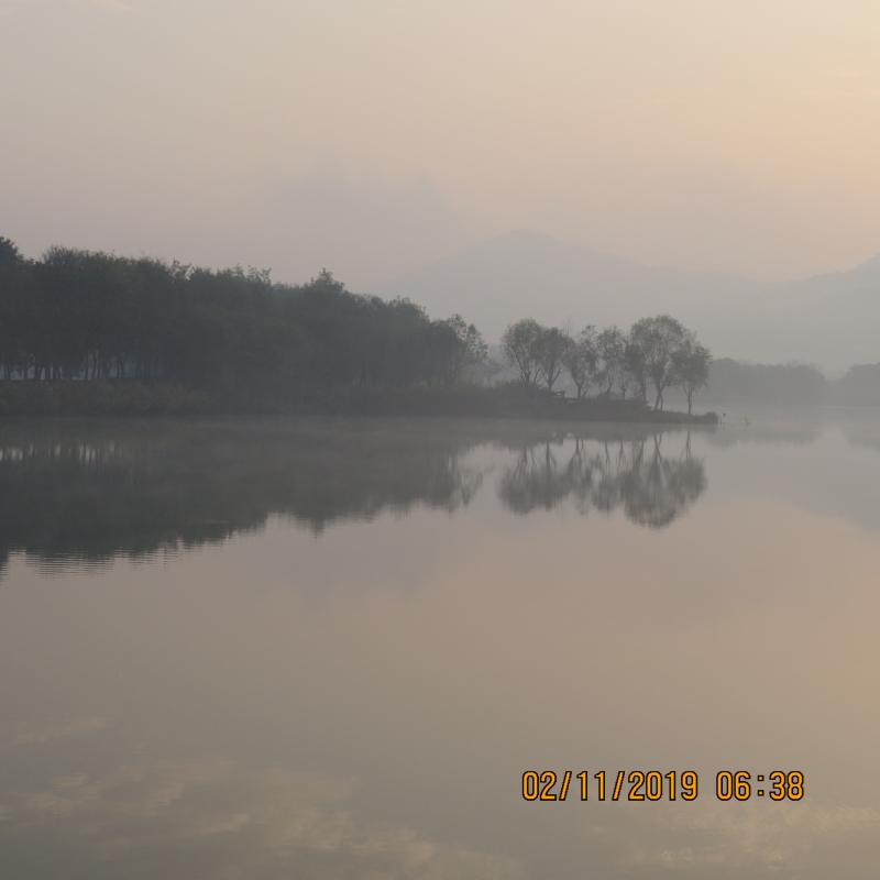 IMG_9452.JPG