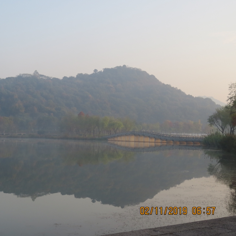 IMG_9475.JPG